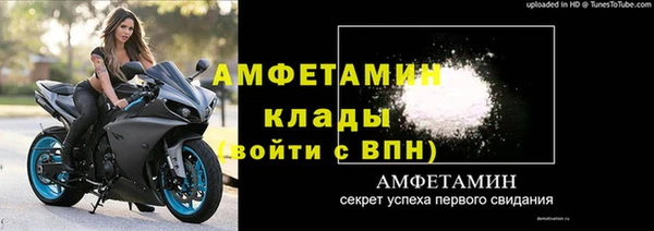 прущие грибы Бабаево
