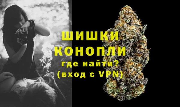 прущие грибы Бабаево