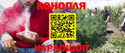 бошки Аргун