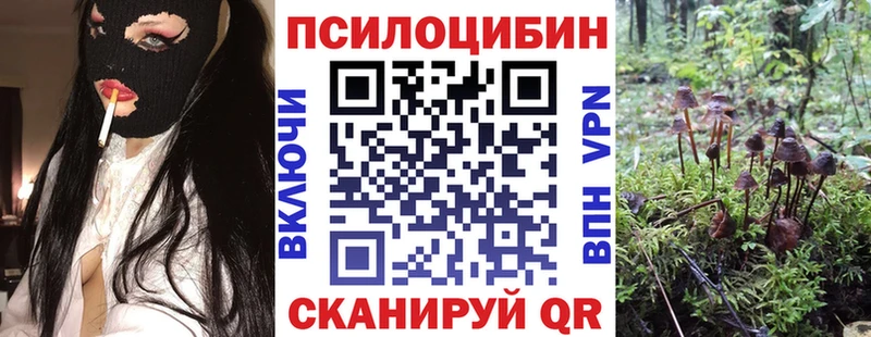гидра вход  продажа наркотиков  Десногорск  Псилоцибиновые грибы ЛСД 