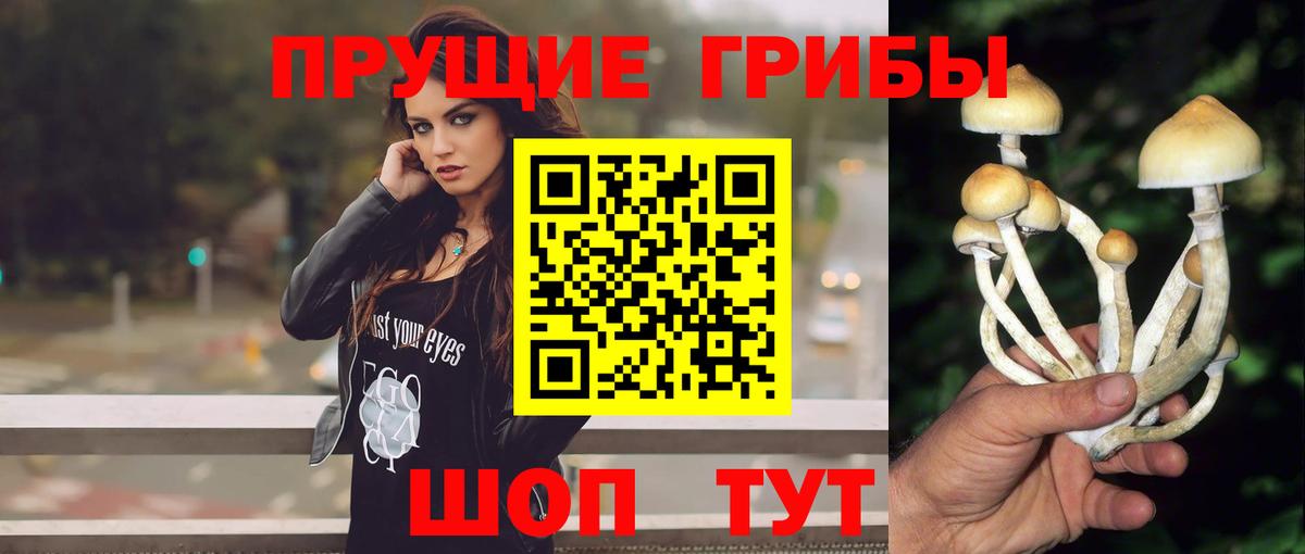 Галлюциногенные грибы Magic Shrooms Десногорск